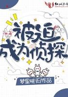 被迫成为侦探挂件